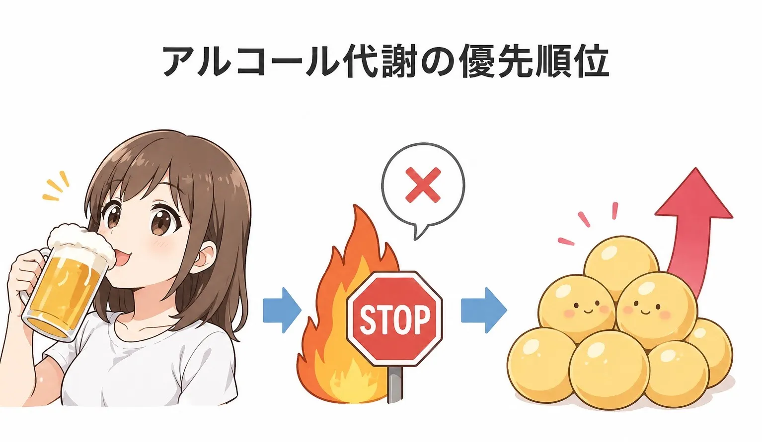 なぜアルコールは体脂肪を増加させるのか?