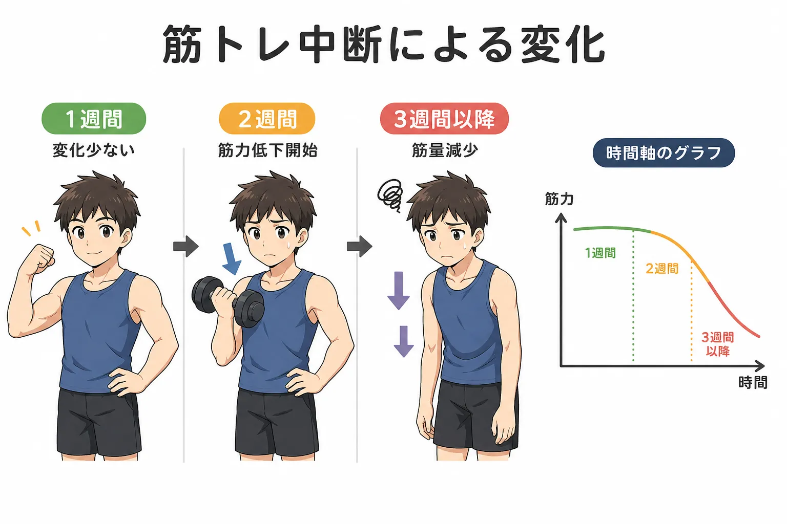 なぜ筋トレは期間を開けすぎてはいけないのか?