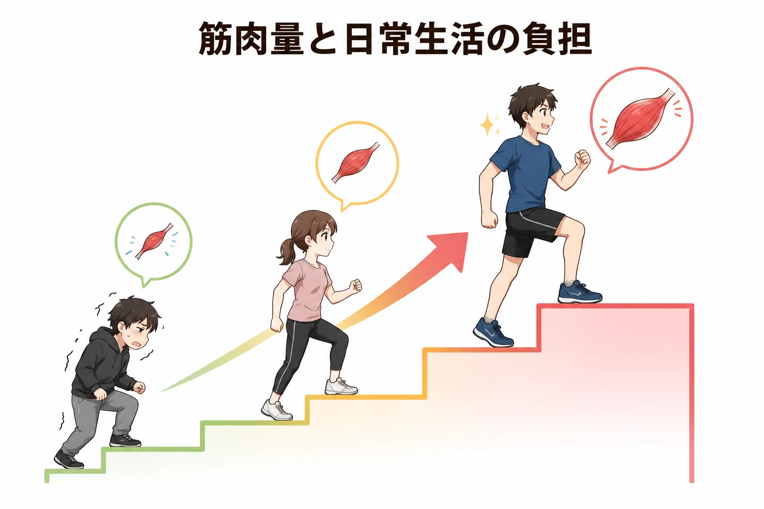 筋肉量と体力の関係